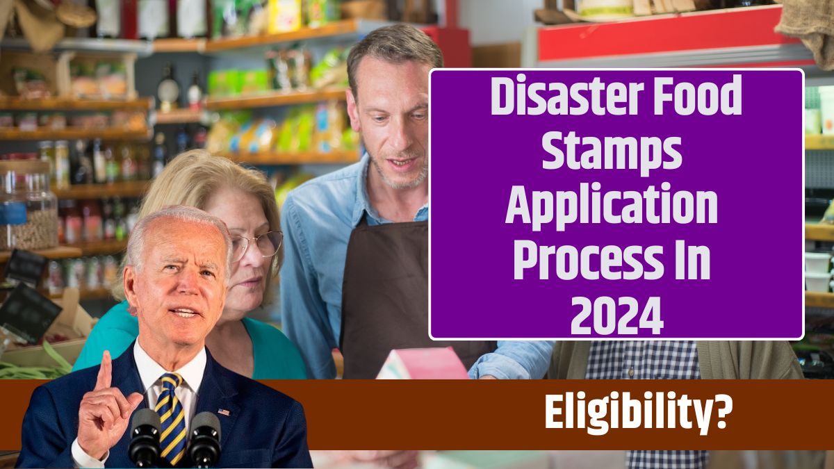 Disaster Food Stamps Application Process In 2024