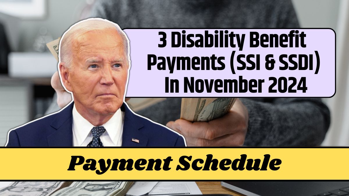 3 Disability Benefit Payments (SSI & SSDI) In November 2024