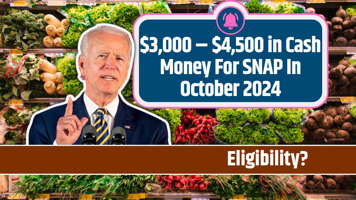 $3,000 – $4,500 in Cash Money For SNAP In October 2024