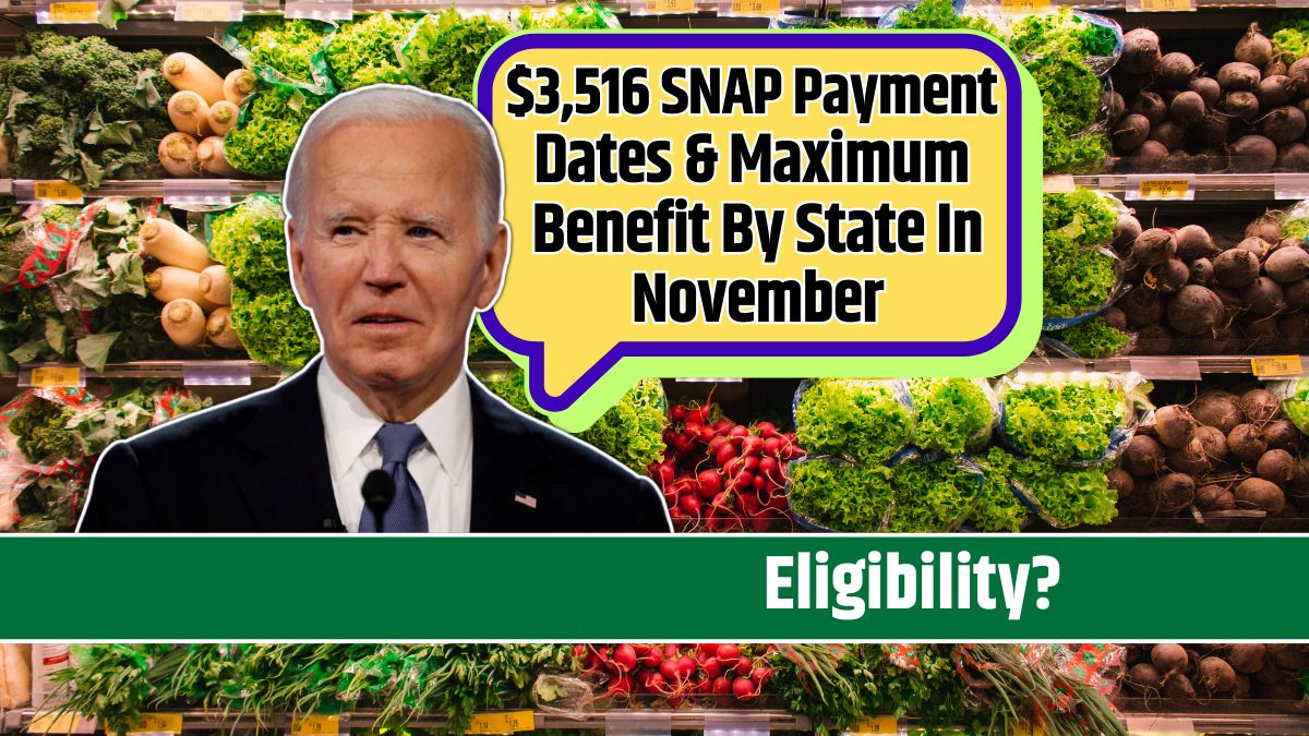 $3,516 SNAP Payment Dates & Maximum Benefit By State In November