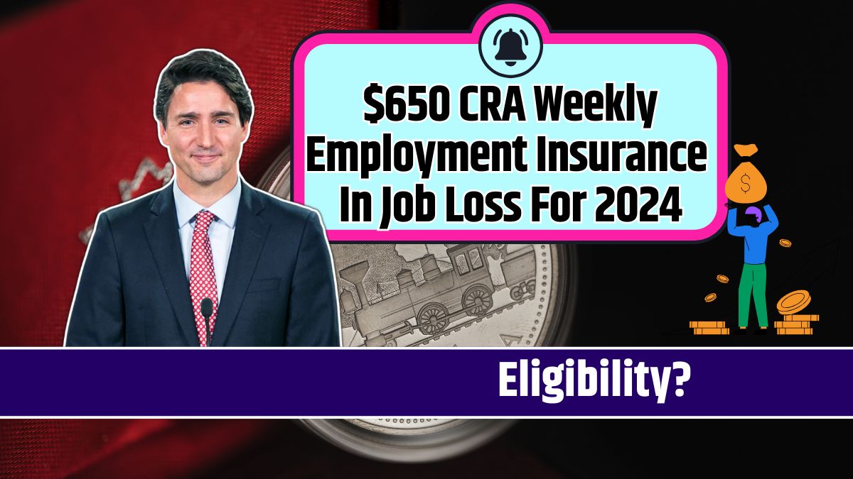 $650 CRA Weekly Employment Insurance In Job Loss For 2024