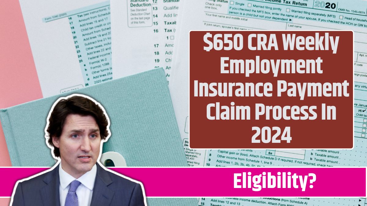 $650 CRA Weekly Employment Insurance Payment Claim Process In 2024