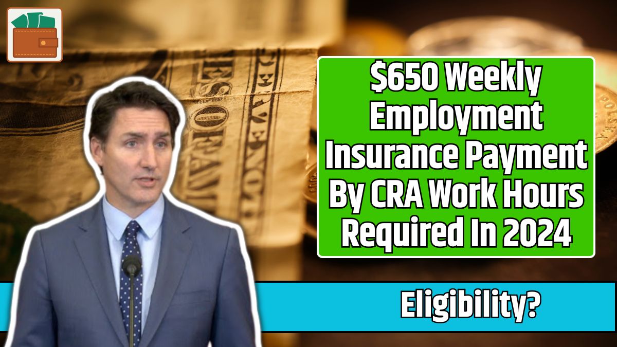 $650 Weekly Employment Insurance Payment By CRA Work Hours Required In 2024