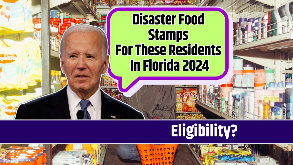 Disaster Food Stamps For These Residents In Florida 2024 Know