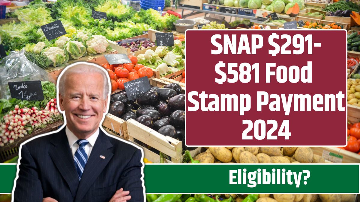 SNAP $291-$581 Food Stamp Payment 2024