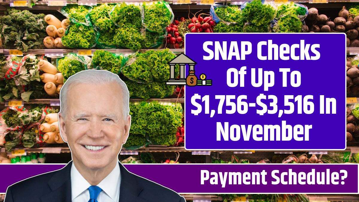 SNAP Checks Of Up To $1,756-$3,516 In November