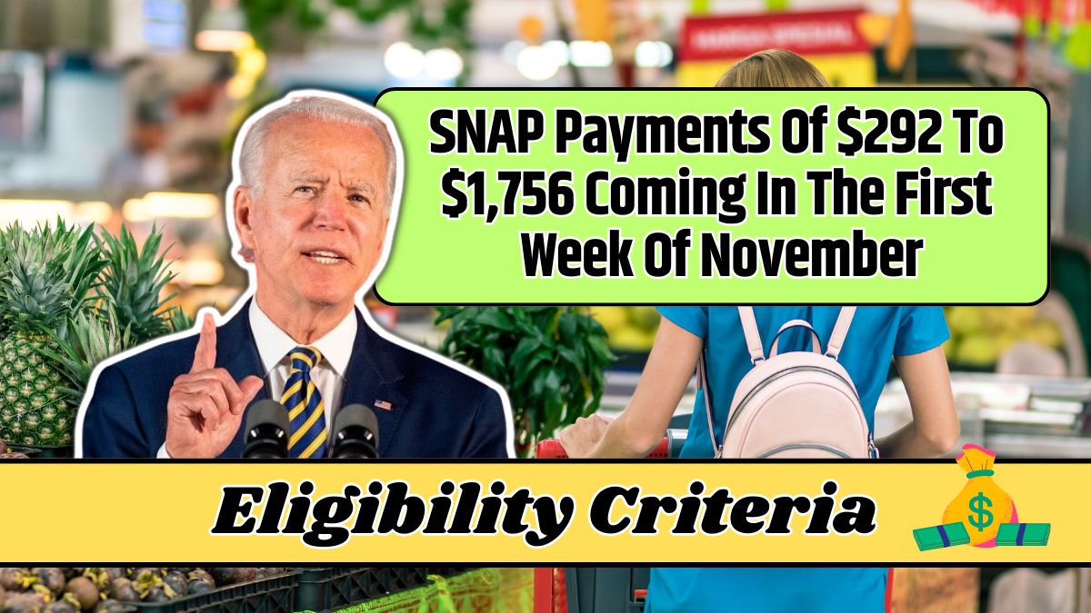 SNAP Payments Of $292 To $1,756 Coming In The First Week Of November