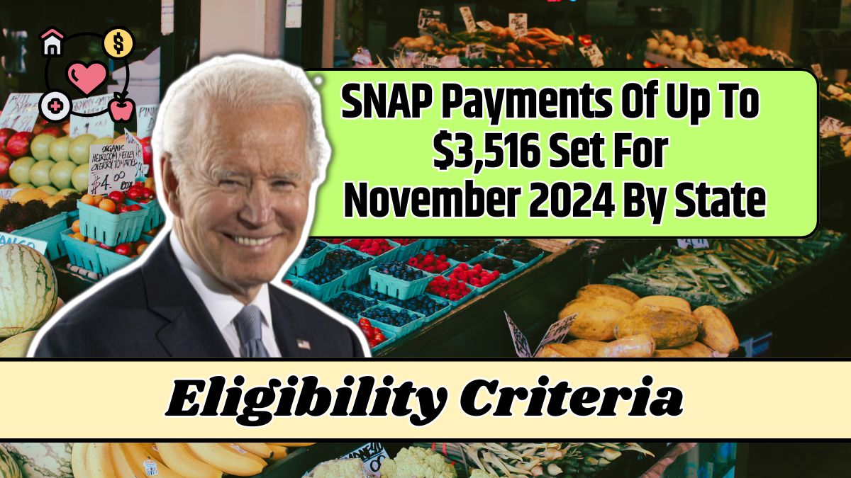 SNAP Payments Of Up To $3,516 Set For November 2024 By State