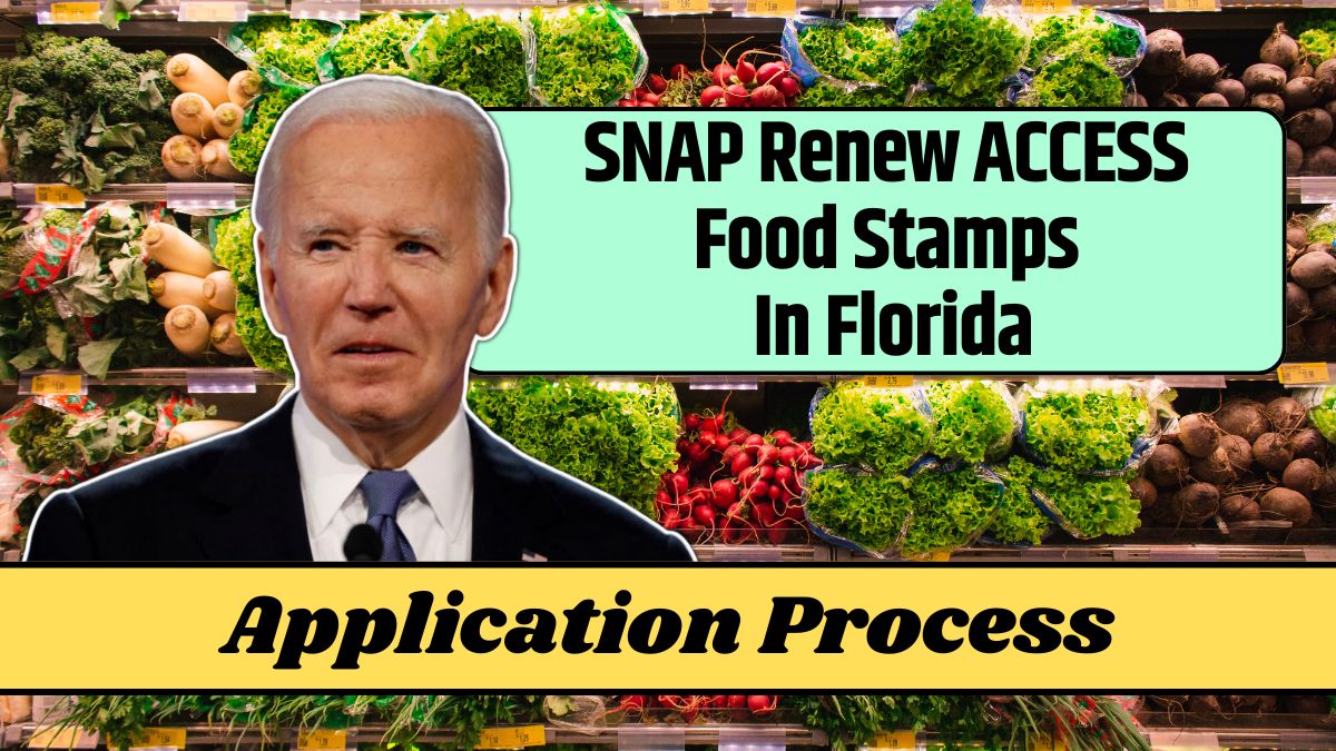 SNAP Renew ACCESS Food Stamps In Florida