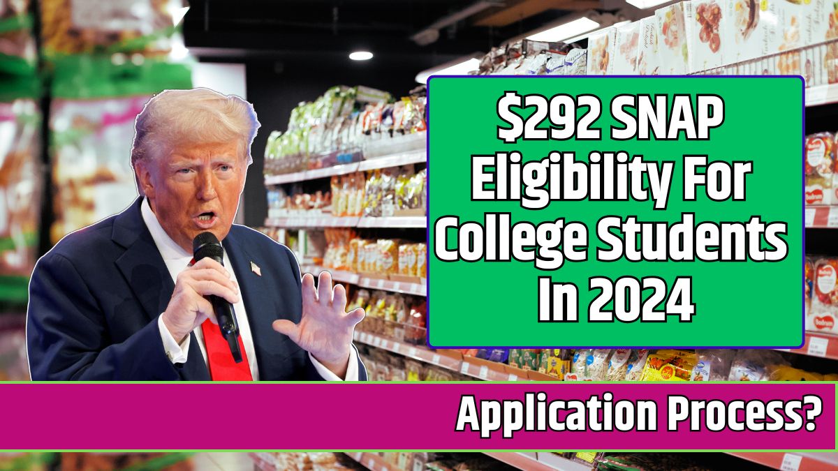 $292 SNAP Eligibility For College Students In 2024