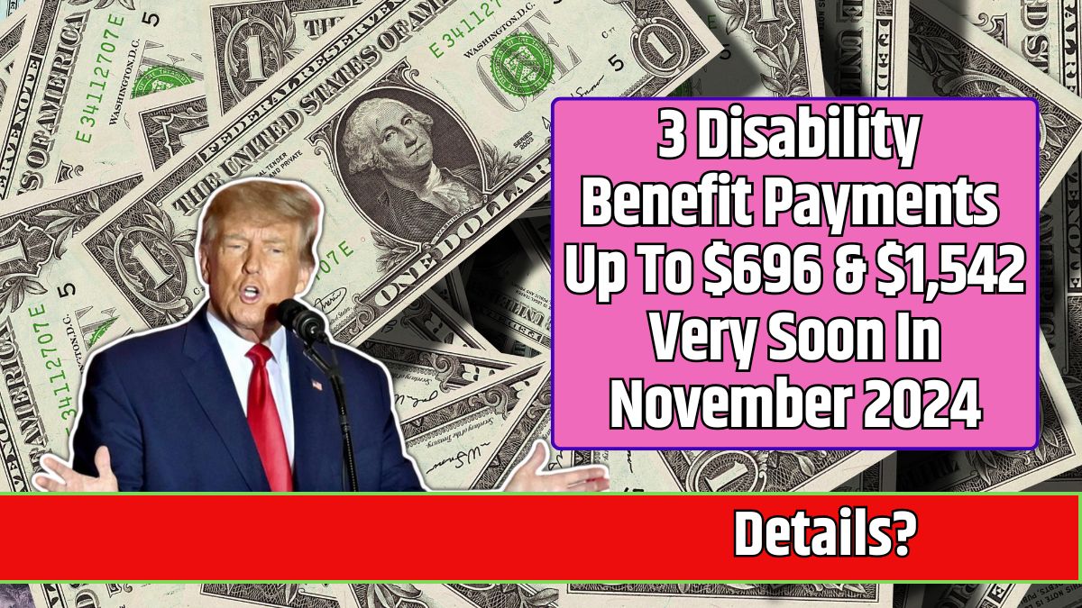 3 Disability Benefit Payments Up To $696 & $1,542 Very Soon In November 2024