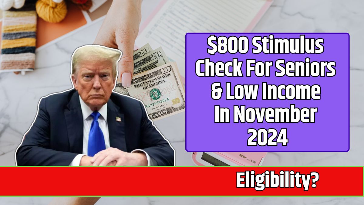 $800 Stimulus Check For Seniors & Low Income In November 2024