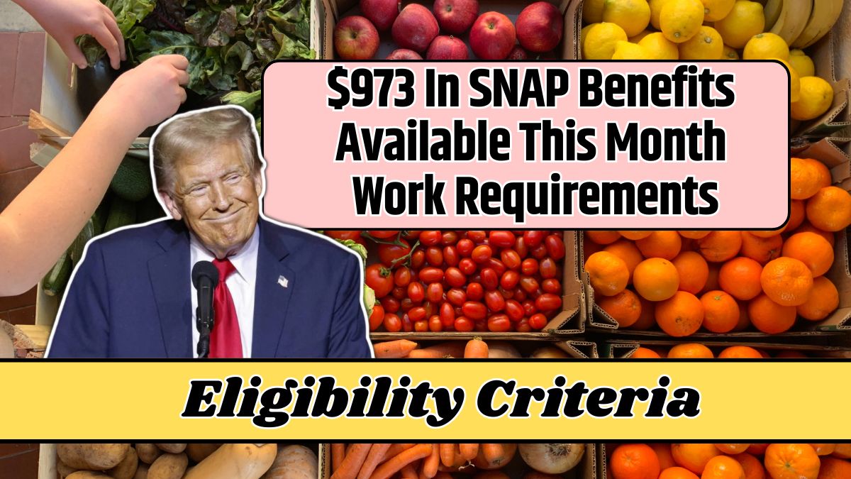 $973 In SNAP Benefits Available This Month Work Requirements