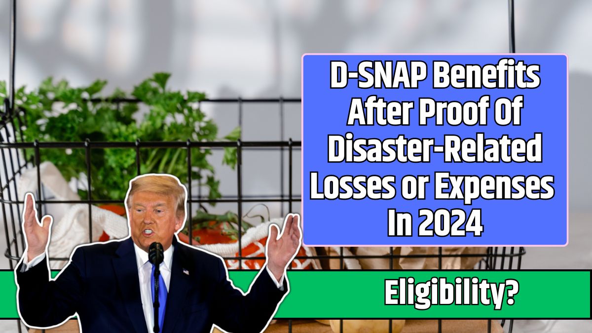 D-SNAP Benefits After Proof Of Disaster-Related Losses or Expenses In 2024