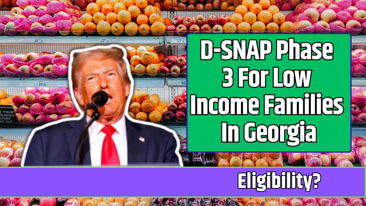 D-SNAP Phase 3 For Low Income Families In Georgia