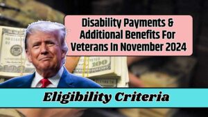 Disability Payments & Additional Benefits For Veterans In November 2024