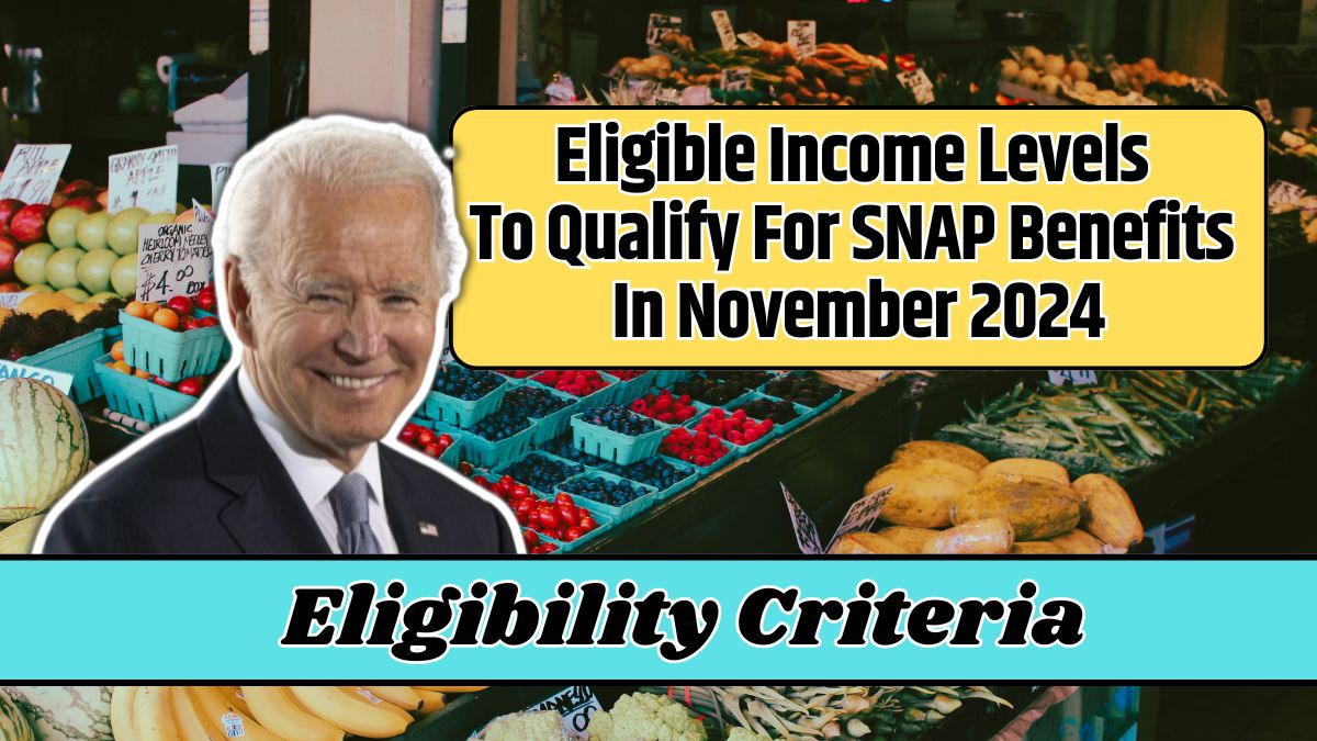 Eligible Income Levels To Qualify For SNAP Benefits In November 2024