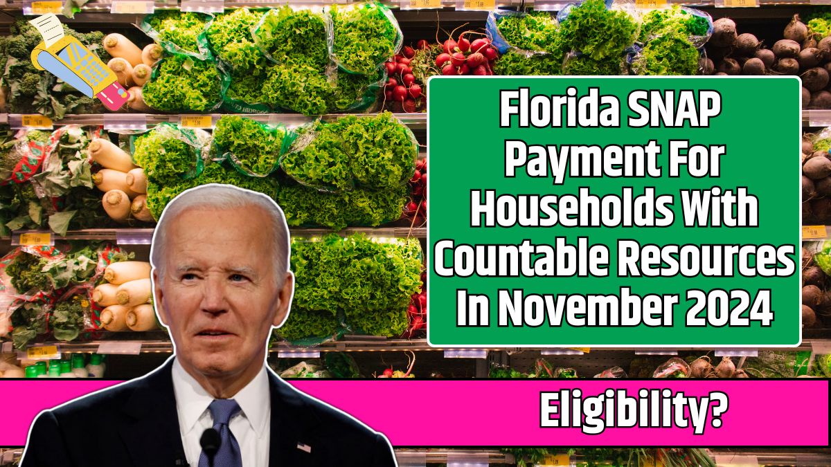 Florida SNAP Payment For Households With Countable Resources In November 2024