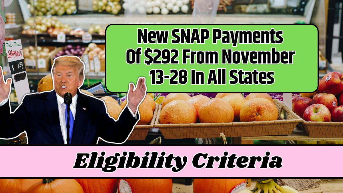 New SNAP Payments Of $292 From November 13-28 In All States