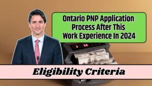 Ontario PNP Application Process After This Work Experience In 2024