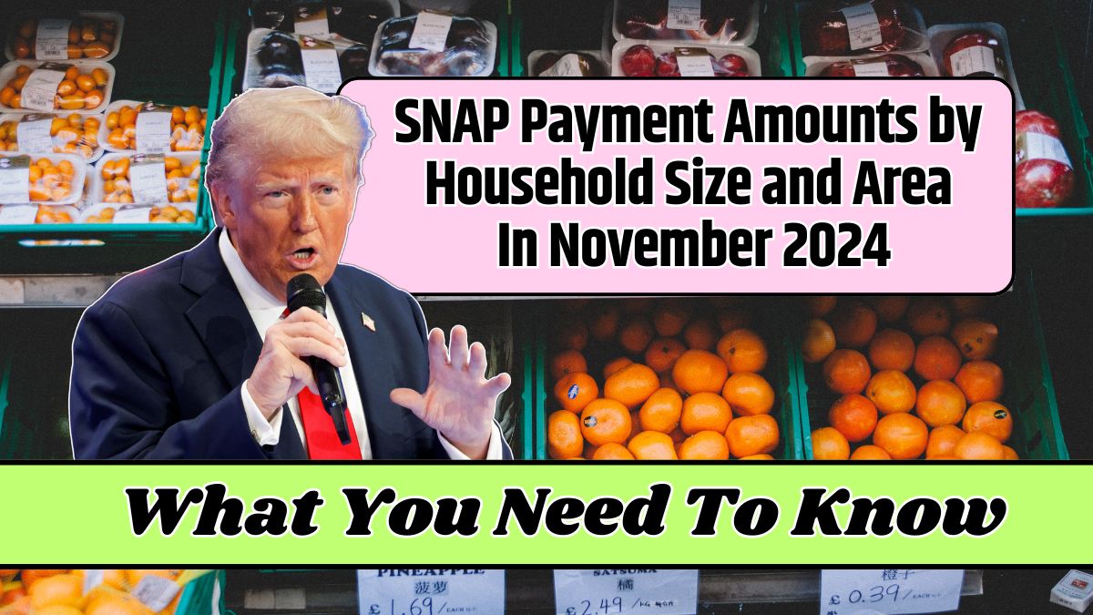 SNAP Payment Amounts by Household Size and Area In November 2024