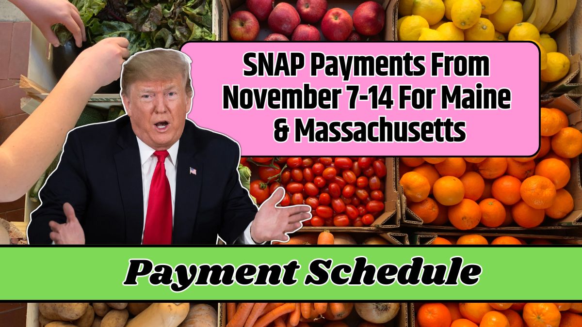 SNAP Payments From November 7-14 For Maine & Massachusetts