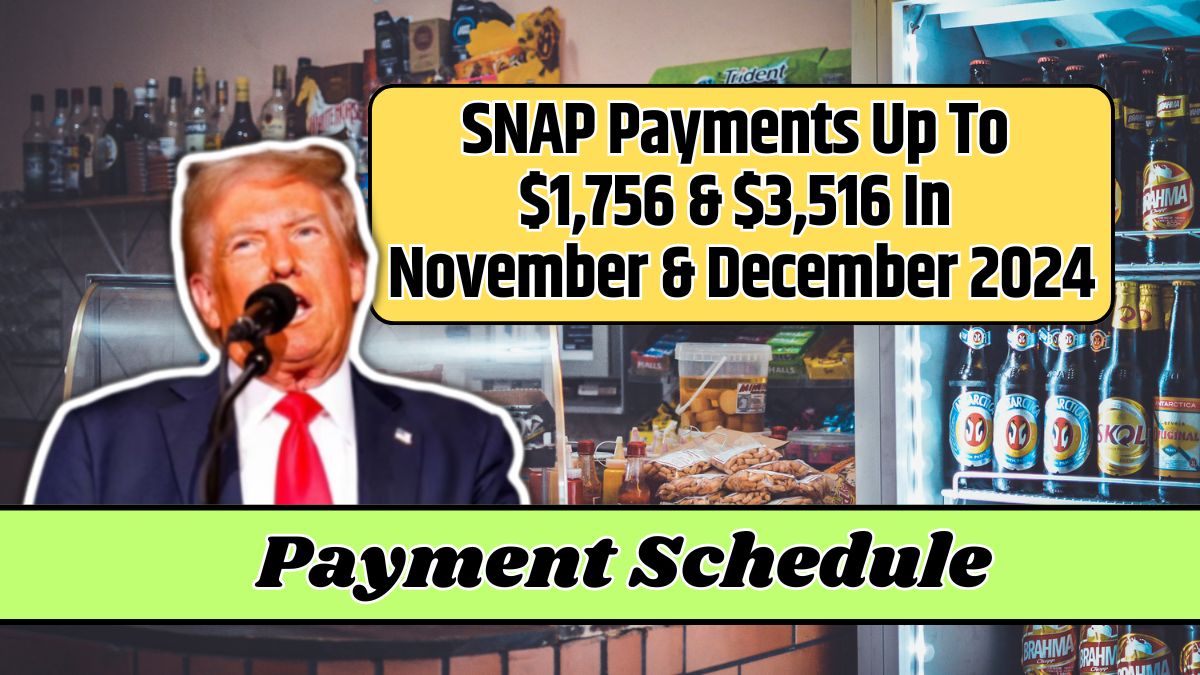 SNAP Payments Up To $1,756 & $3,516 In November & December 2024