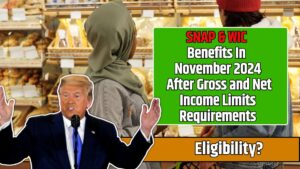 SNAP & WIC Benefits In November 2024 After Gross and Net Income Limits Requirements