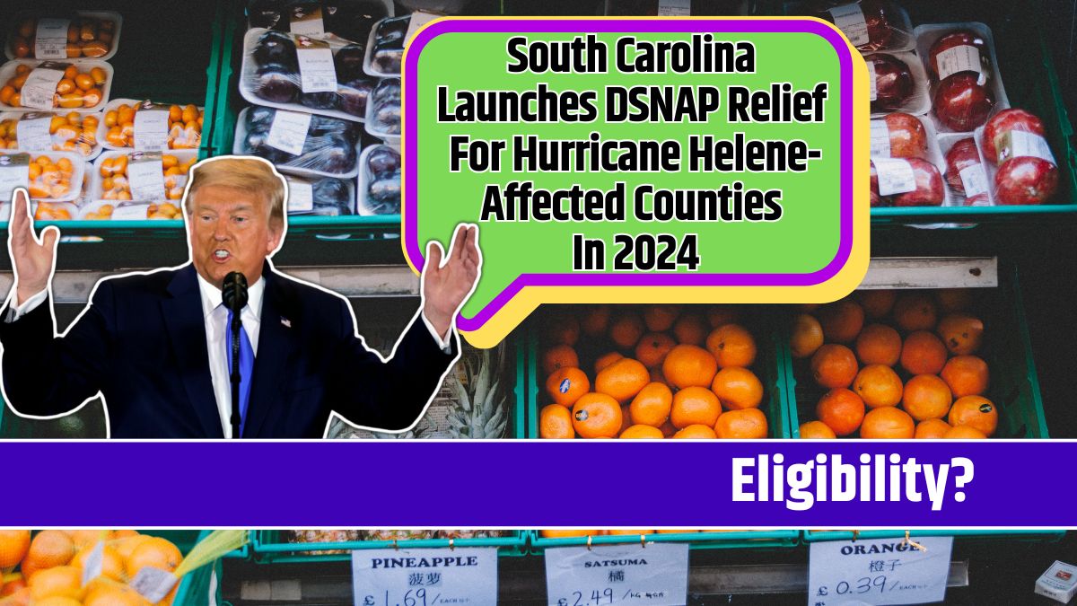 South Carolina Launches DSNAP Relief For Hurricane Helene-Affected Counties In 2024