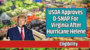 USDA Approves D-SNAP For Virginia After Hurricane Helene